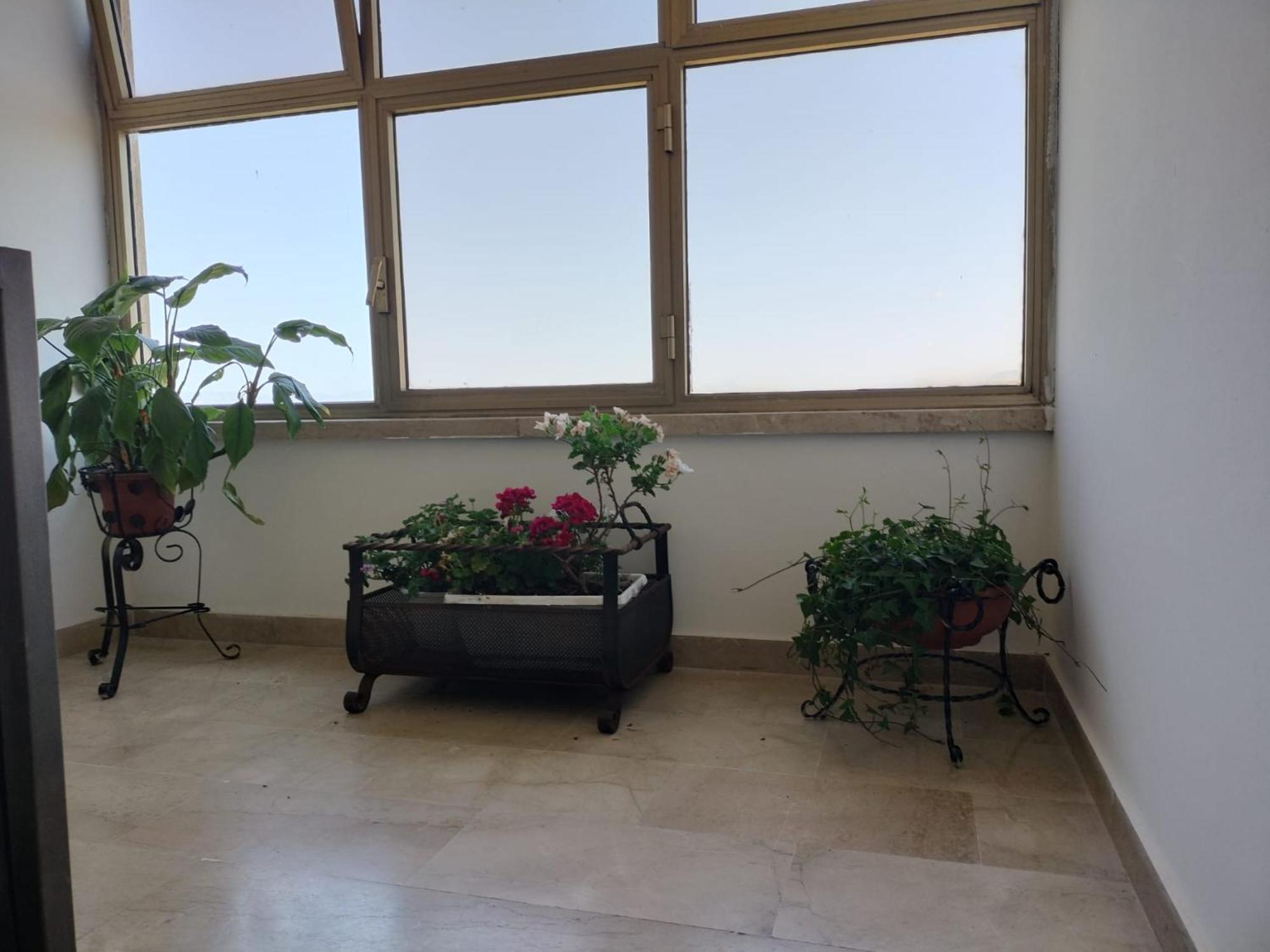 D&P Suites 1 Salemi Dış mekan fotoğraf